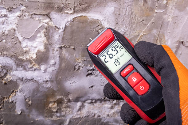 Best Mold Remediation  in Fenton, MO