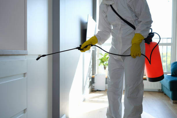 Best Certified Mold Removal  in Fenton, MO