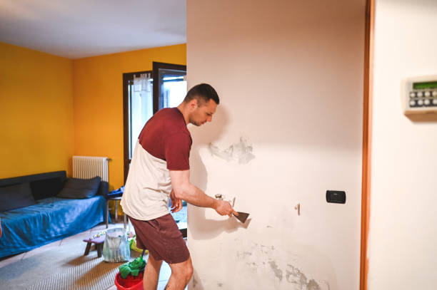 Best Local Mold Removal Service  in Fenton, MO